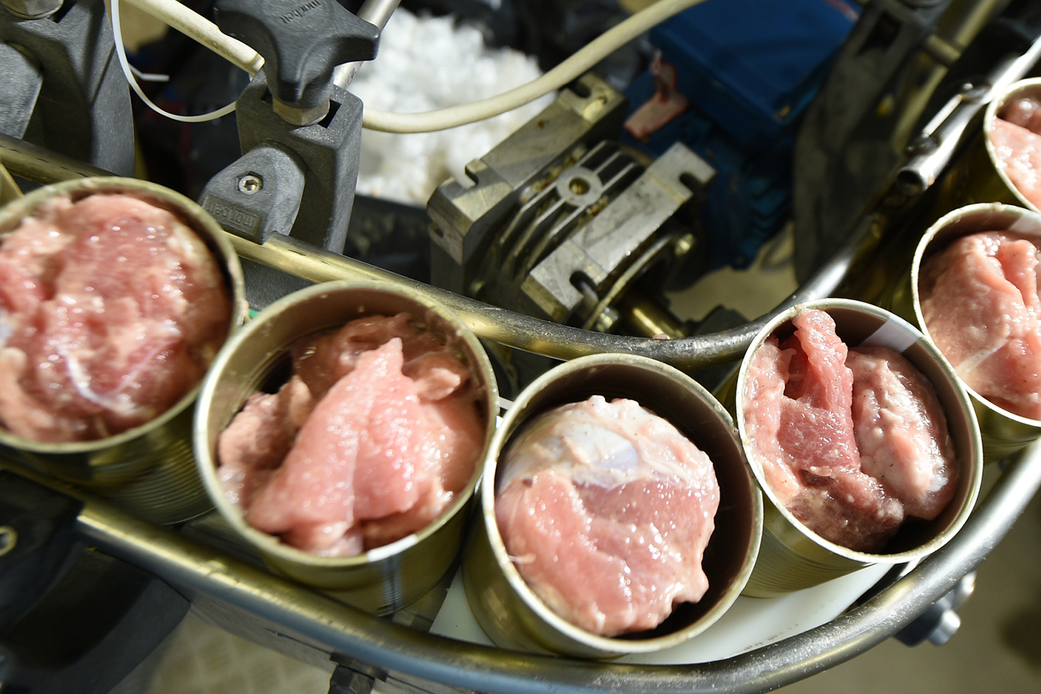 Производство консервов ТМ «ЕРМОЛИНО»