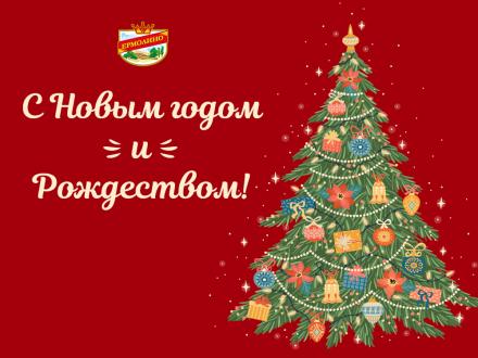 С НОВЫМ ГОДОМ И РОЖДЕСТВОМ ХРИСТОВЫМ!